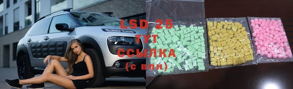спайс Алзамай