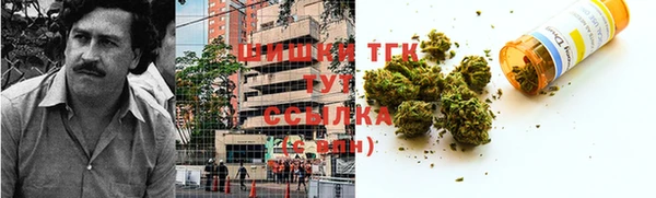 винт Абаза