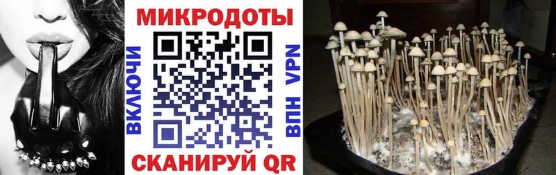 Псилоцибиновые грибы Magic Shrooms blacksprut ONION Усолье